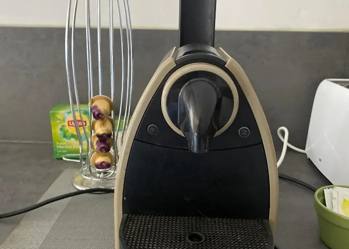 公寓 Hocheck, Le Coin D'en Haut, Au Pied Des Pyrenees ! 拉夫当的阿斯平