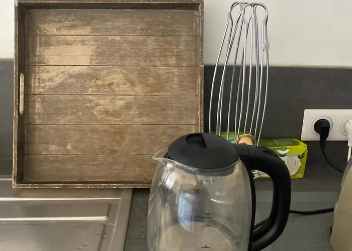 公寓 Hocheck, Le Coin D'en Haut, Au Pied Des Pyrenees ! 拉夫当的阿斯平