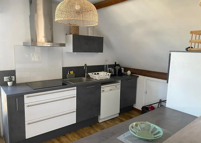 Hocheck, Le Coin D'en Haut, Au Pied Des Pyrenees ! 公寓 拉夫当的阿斯平